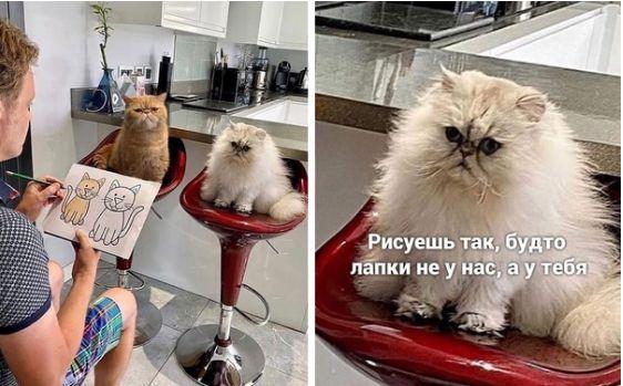 Весёлый полтишок 2.05