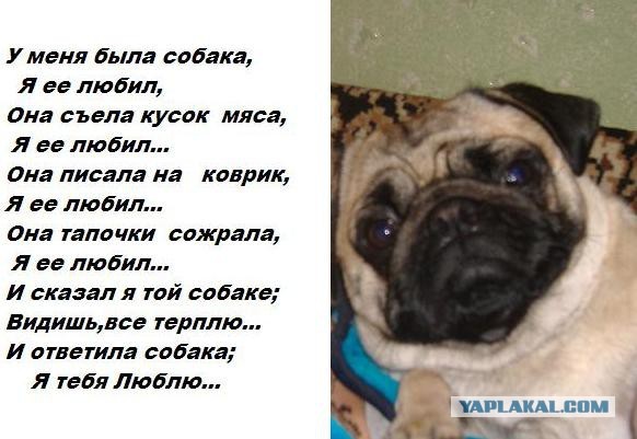 Они для нас - страница в жизни, а мы для них и есть вся жизнь