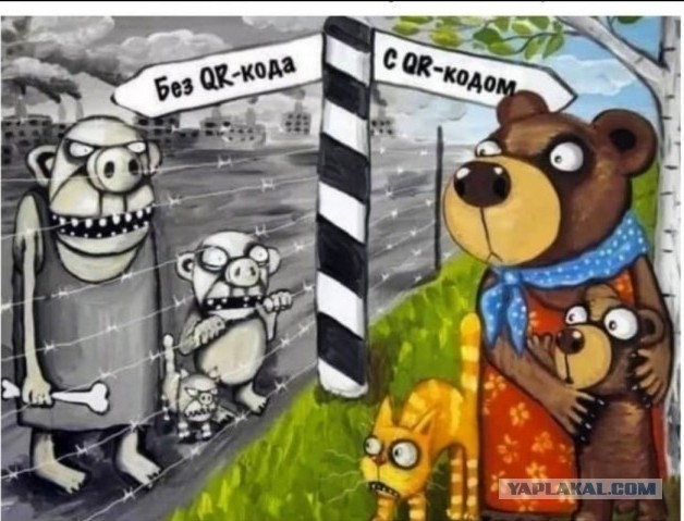 Первая Московская научно-практическая конференция «Врачи за Правду!», Москва, 12.12.2021