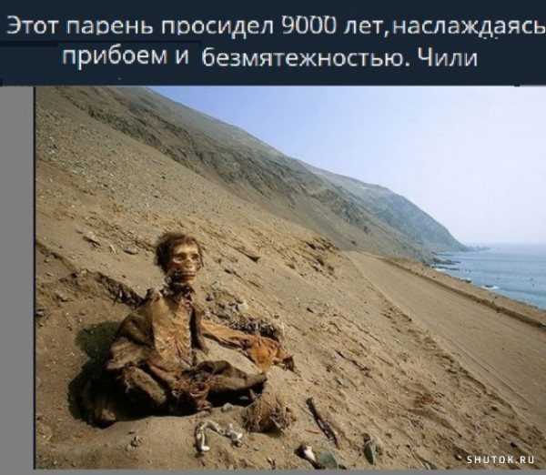 Так себе картинки 26.05.22