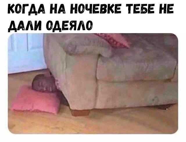 Так себе картинки 03.05.22