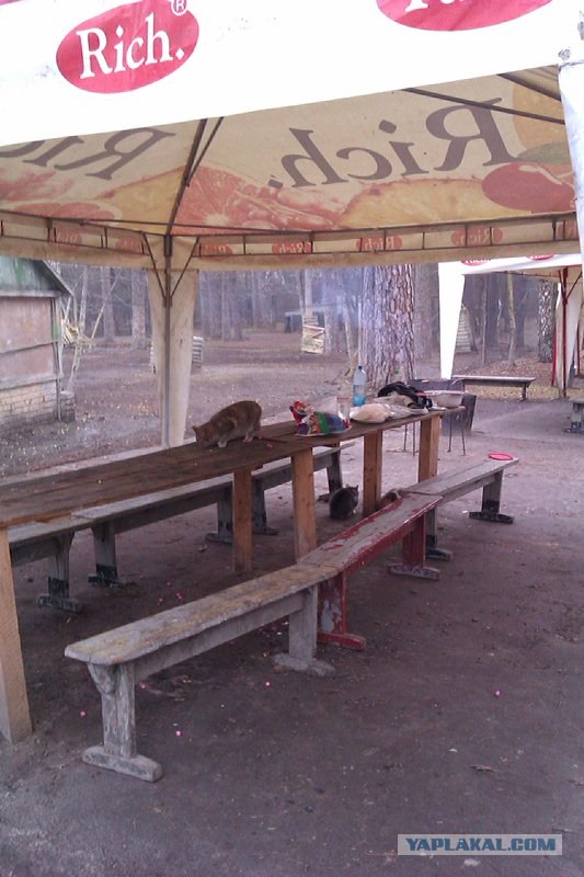 Первая вылазка 1 Апреля