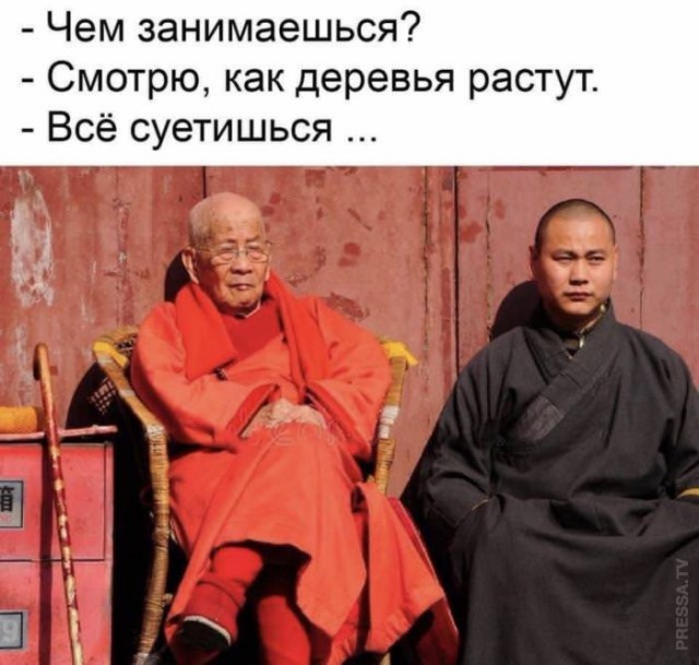 Картинки и мемы для настроения - 27
