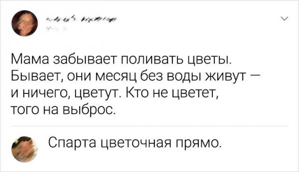 Скриншоты и комментарии из социальных сетей 20.07.22
