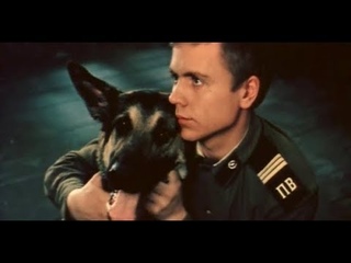 Собаки в кино