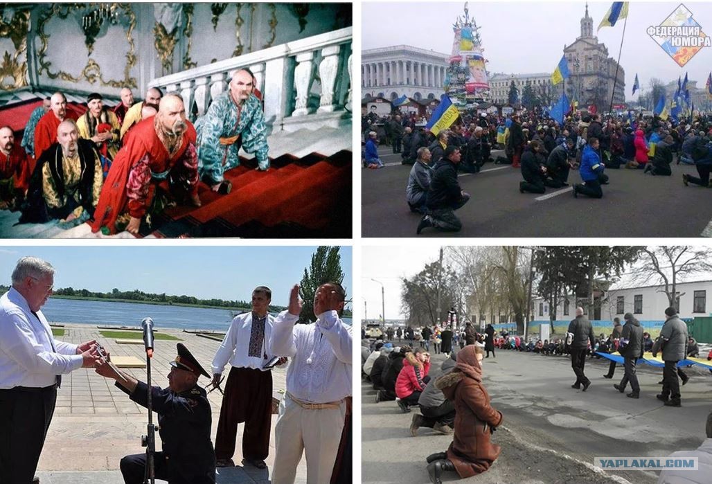 Хохлы парад. Украинцы на коленях. Хохлы на коленях. Украинцы стоят на коленях перед. Хохлы на коленях перед.