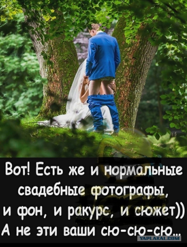 Так себе картинки 24.12.22