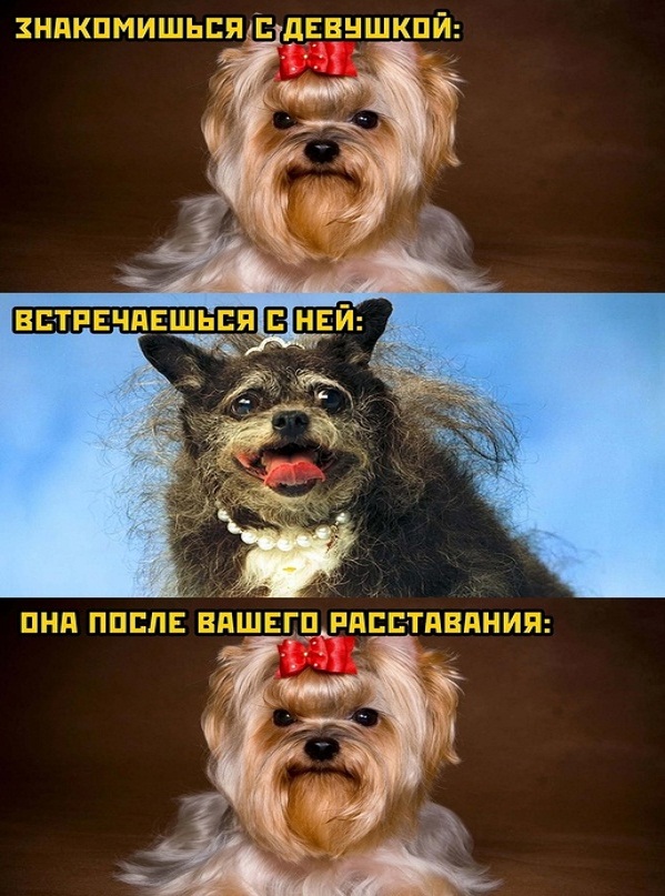 Картинки и мемы, выходные продолжаются
