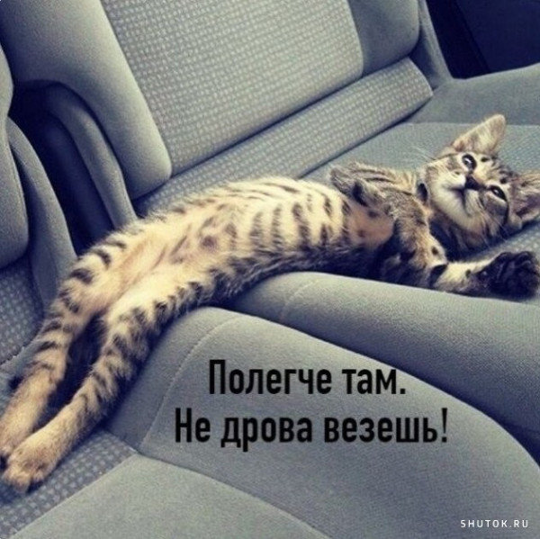 Немного слайдов для автолюбителей