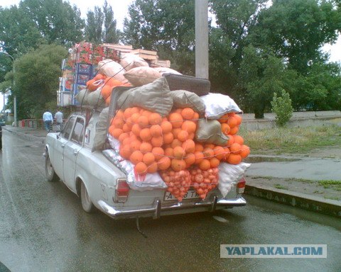 Приколы из Казахстана