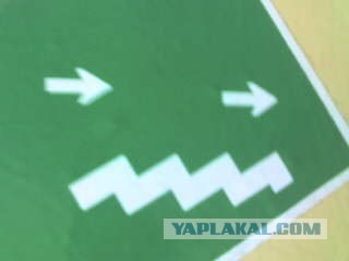 Улыбки, которые нас окружают