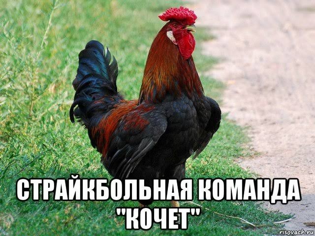 А я ничего и не доказываю. Это просто факт