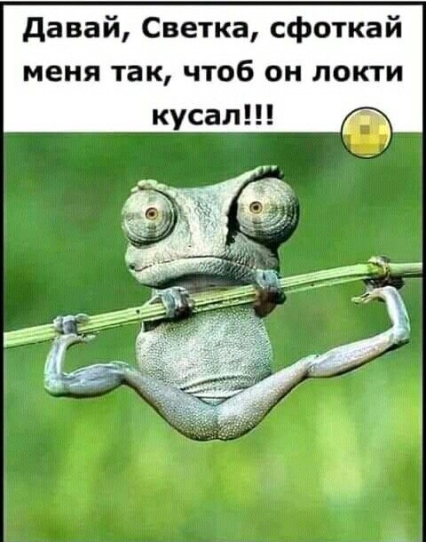 Народная меДИЧина 1006