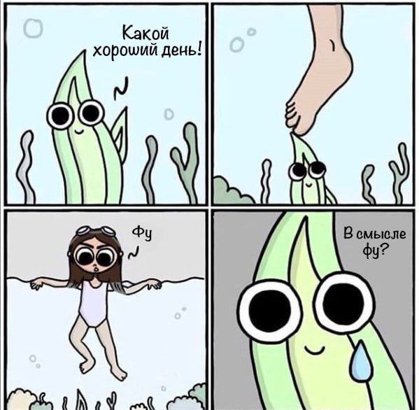 Так себе картинки 02.11.23