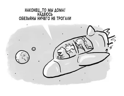 Началось