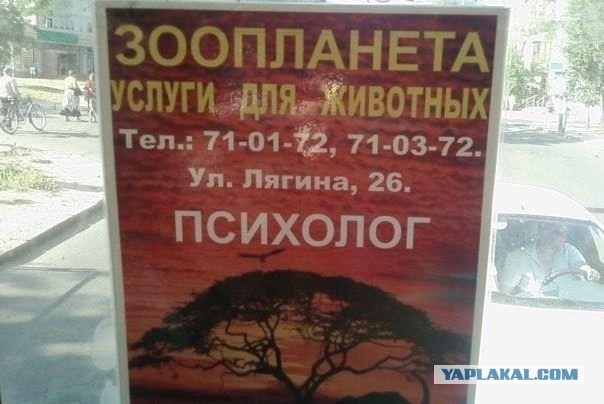 Секс с котом