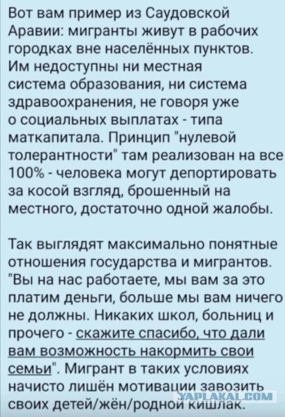 Предложения по контролю за мигрантами от курьера "Яндекс.Еда"