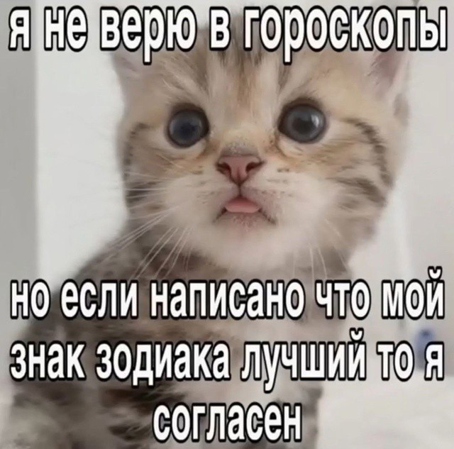 Всего понемногу. От 08.12.24