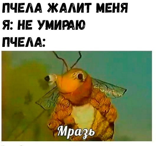 Картинки для деградации-4 (разной степени свежести)