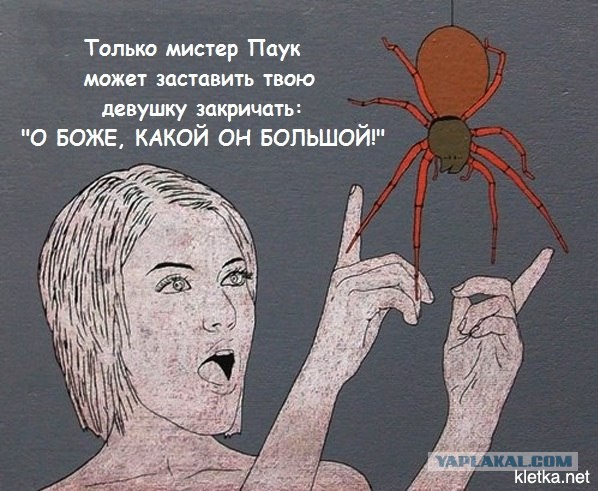 Как поржать на работе