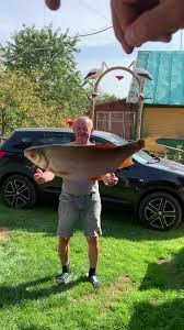 Скоро на экранах