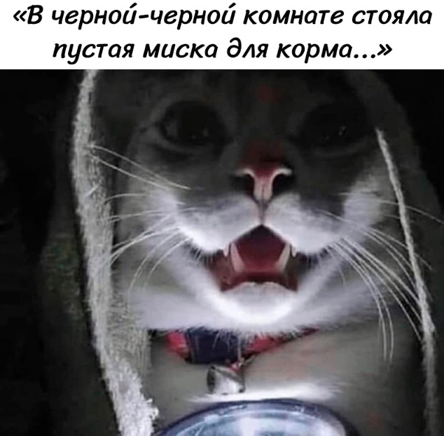 20463572.jpg