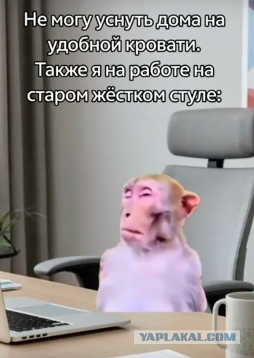 Среда пришла