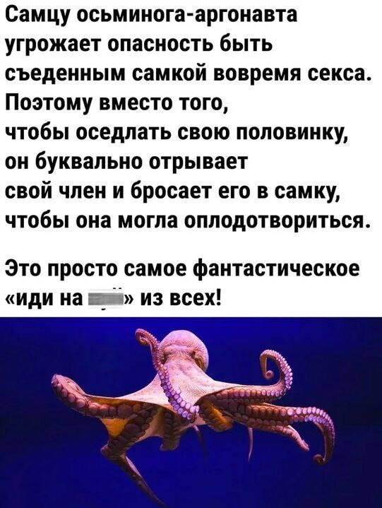 Разной свежести картинки