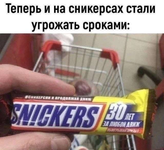 Потная гамсахурдия №6 (Картинки)