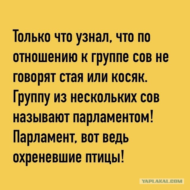 Многолетнее исследование доказало: лесбиянки никогда не кончают от любви друг с другом