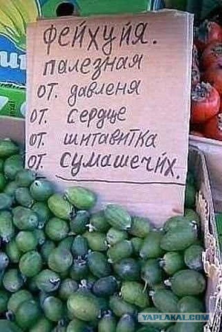 Спор о копирайте
