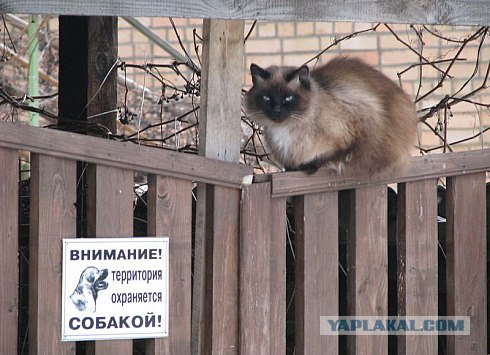 Что мы видим вокруг себя