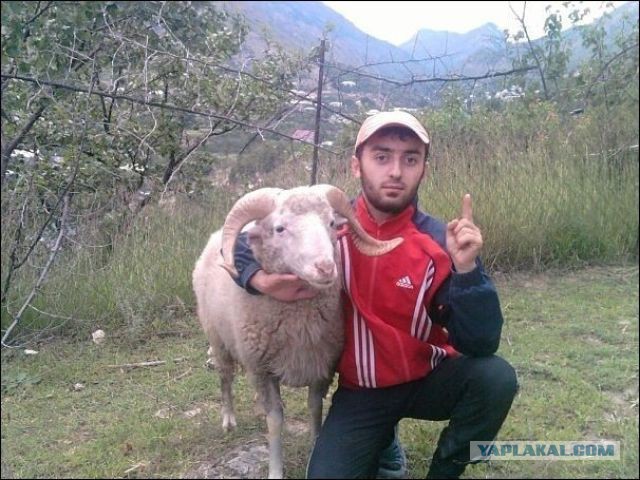Один их пострадавших в драке со стрельбой