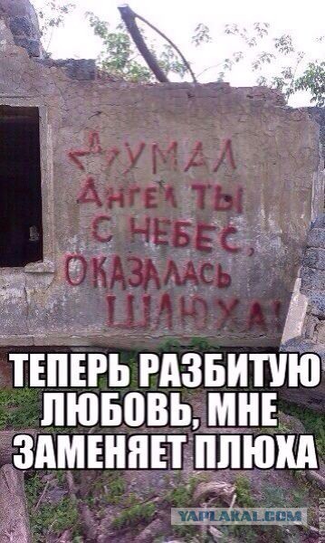 Весёлые картинки. Разбавим будни