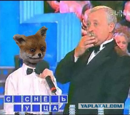 Весёлые картинки. Разбавим будни