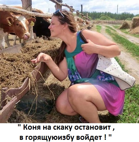 Женщины востока Украины встали на защиту