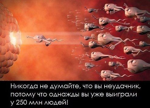 Веселые картинки № х/з