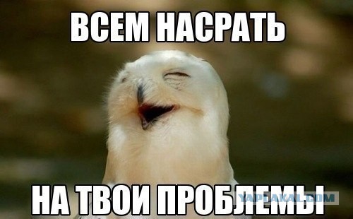 Популярные мемы на ЯПе