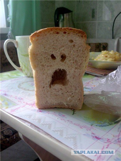 Популярные мемы на ЯПе