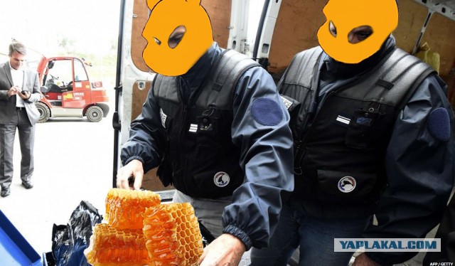 Почему бы не Пожабить?) 18+