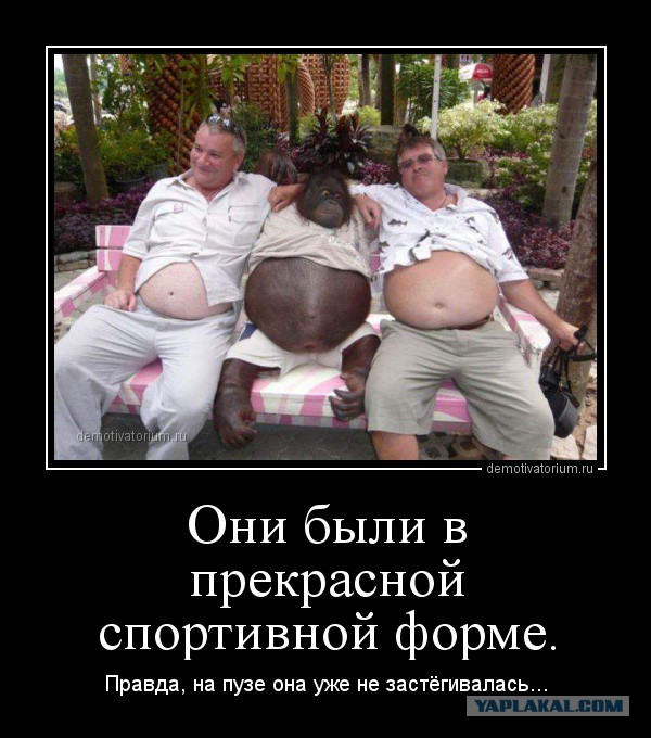Полные мужчины сексуальнее