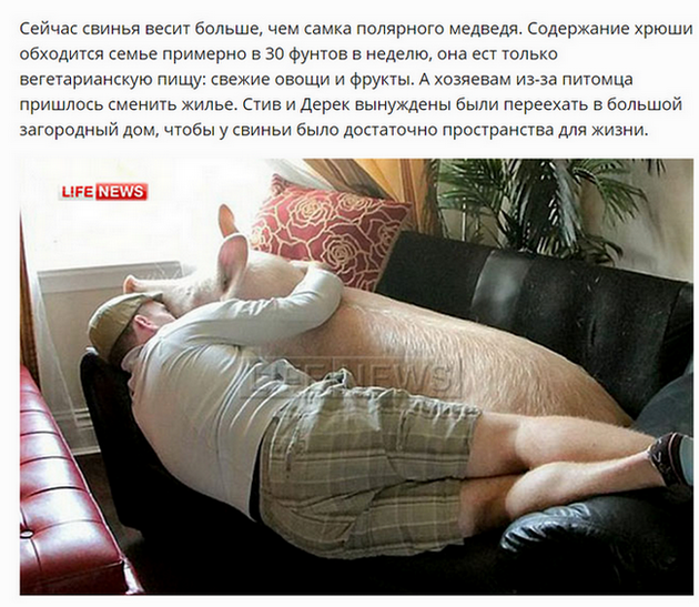 Странные люди живут в США