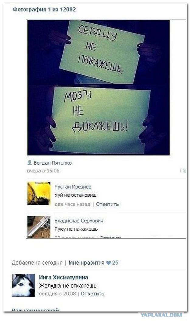 Смешные комментарии из соц сетей