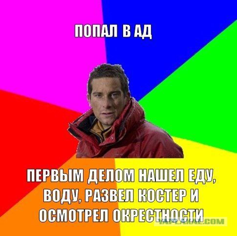 Веселое из сети