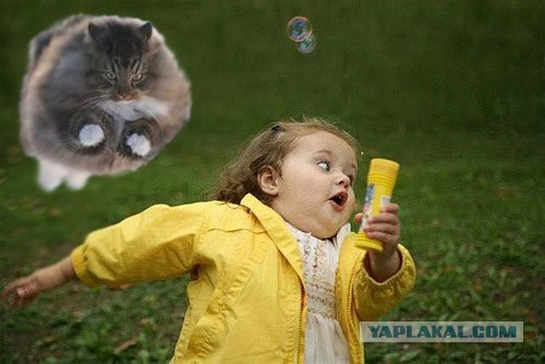 Ну очень жабельно