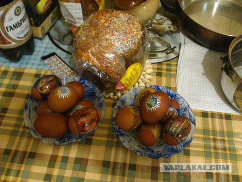 Круче только яйца
