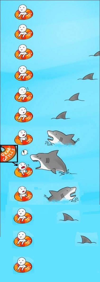 ОЙ! Что это? Акула?