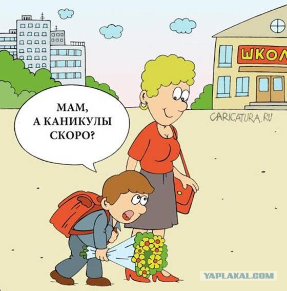 Шла четвёртая  неделя первого класса...
