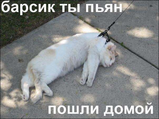 Стадии опьянения, общие для всех мужчин
