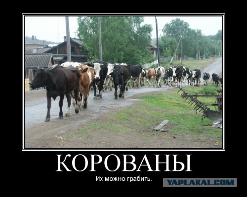 Мемы вспоминаем и добавляем....